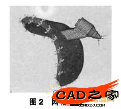 圖3